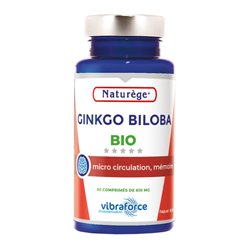 Ginkgo Biloba Petit modèle - 60 Comprimés de 610 mg - Naturège Laboratoire