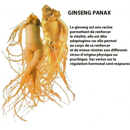 royal-panax-ginseng-20-ampoules-nutrition-concept.jpg