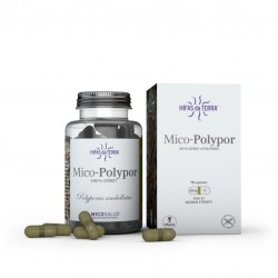 POLYPORUS Bio - Mico-Polypor Micosalud 70 gélules végétales - Hifas da terra