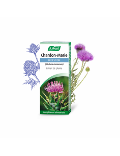 Extrait plantes fraiches Chardon Marie - Flacon  50 ml - A Vogel