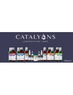 Catalyons Cuivre Or Argent 500ml