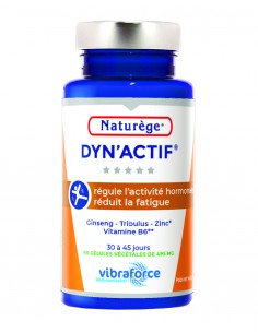 Dynactif - Energie et Vitalite - Ginseng Tribulus B6 - 90 Gélules Végétales - Naturège Laboratoire