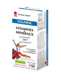 VIT&MINE - Vitamines + minéraux - 60 Gélules - Vecteur Santé