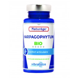 Harpagophytum Bio Petit modèle - 60 Gélules Végétales de 495 mg  - Naturège Laboratoire