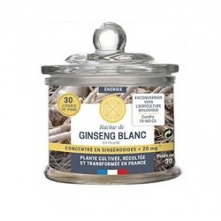 Racine de Ginseng Blanc - 30 g - Jardins d'Occitanie