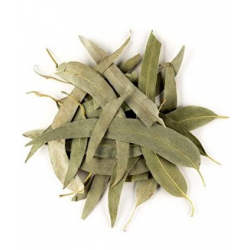Plante Eucalyptus Bio - 50 g - Tisane & Infusion de plantes simples - Herbier de Gascogne