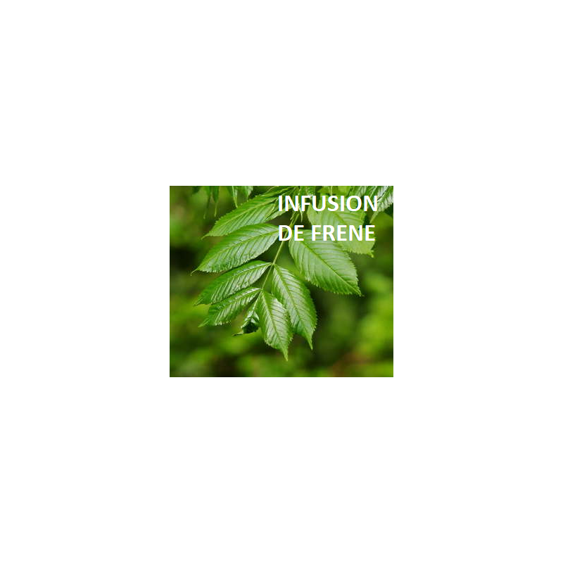Frêne Bio - sachet de 25 g - Tisane & infusion de plante simples - Herboristerie
