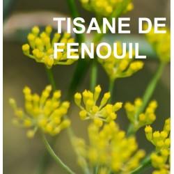 Fenouil Doux Bio - sachet de 80 g - Tisane & infusion de plante simples - Herboristerie