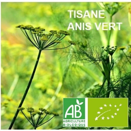 Anis Vert Bio - sachet de 100 g - Tisane & décoction de plante simple - Herboristerie