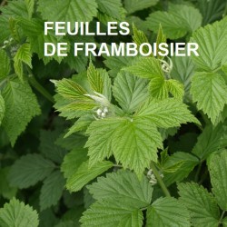 Plante Framboisier Feuilles - 100g - Vallée Nature - Tisane - Herboristerie