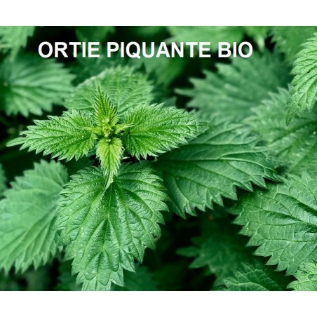 Ortie Piquante feuilles Bio - sachet de 25 g - Tisane & infusion de plante simples - Herboristerie