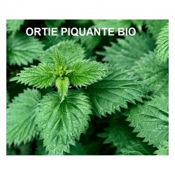 Plante Ortie Piquante feuille Bio 50 g - Tisane et Infusion de plantes simples - Herbier de Gascogne