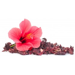Plante Hibiscus fleur Bio - Sachet de 50 g - Herbier de Gascogne