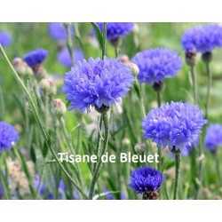 Plante bleuet calice Bio 25 g - Tisane et Infusion de plantes simples - Vallée Nature