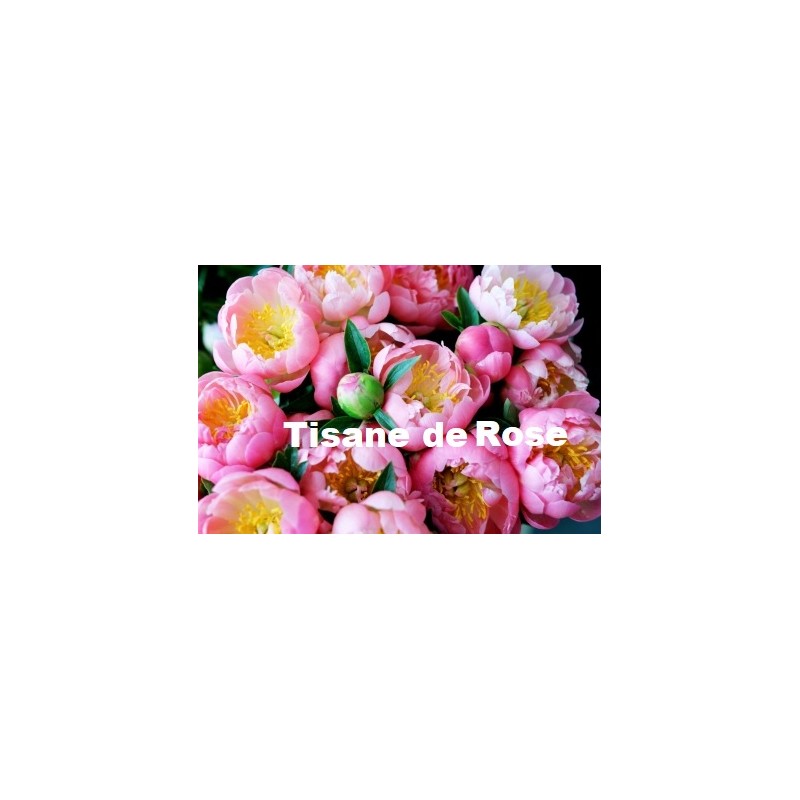 Plante Rose pale bouton Bio 50 g - Tisane et Infusion de plantes simples - Vallée Nature