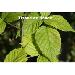 PLANTE RONCE FEUILLE CM Plante Ronce feuille CM 75 g - Tisane et Infusion de plantes simples - Vallée Nature