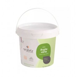 Argile Verte - Pot 1 kg prête à l'emploi - ARGILETZ