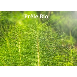 Poudre de Prêle Bio - 200 g - L'Herbier de Gascogne