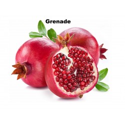 Extrait de Grenade Bio - 60 gélules végétales - Phytosud