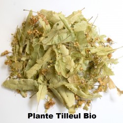 Plante Tilleul Carpentras bio - 20 g - Tisane et Infusion de plantes simples - Herbier de Gascogne