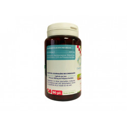Astragale - 500 mg - 90 gélules - DistriForm'