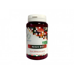 Reishi bio - 250 mg - 90 gélules - DistriForm'