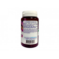 Desmodium - 300 mg - 100 gélules - DistriForm'