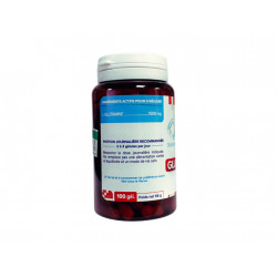 L-Glutamine - 500 mg - 100 gélules végétales - DistriForm'