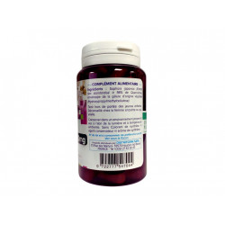 Quercétine - 400 mg - 90 gélules - DistriForm