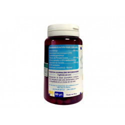 Mixiata urinaire - 60 gélules - DistriForm