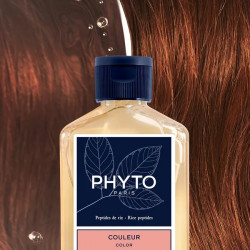 Shampooing Anti-dégorgement de Couleur - 250 ml - Phyto Paris