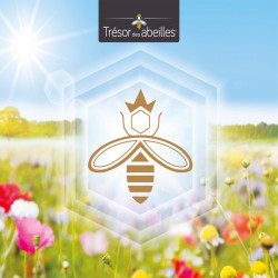 Spray Propolis française/Thym Bio sans alcool - 30 ml - Trésor des abeilles