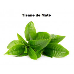 Plante Maté Vert Bio - 50 g - Tisane & Infusion de Plantes Simples - Herbier de Gascogne