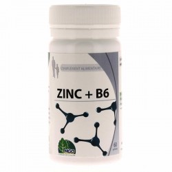 MGD -Zinc+B6 60 gélules