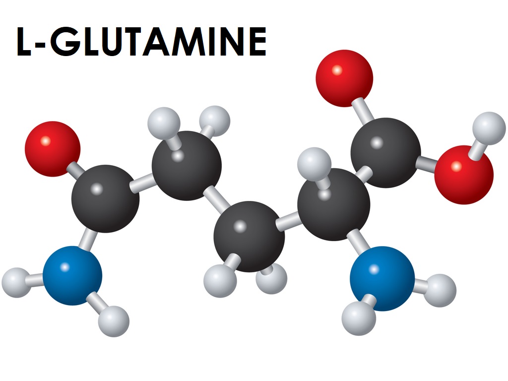 molécule de glutamine