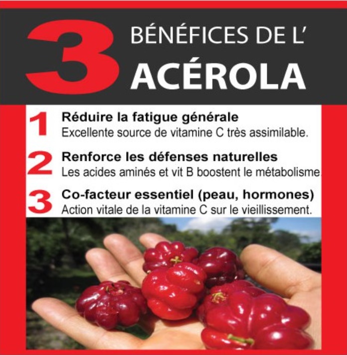 Fruits d'acérola frais riches en vitamine C naturelle et anti-oxydants pour la vitalité