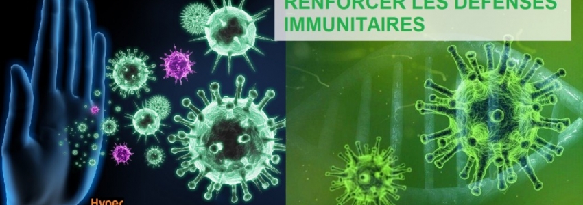 Immunité et défenses naturelles
