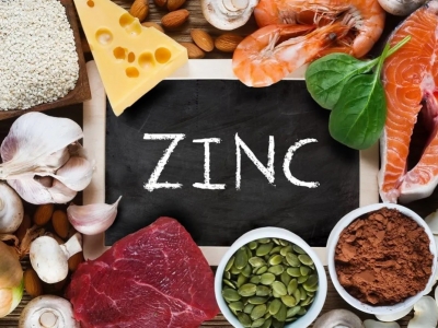LE ZINC chélaté : l'oligo-élément vital pour l'immunité et les phanères