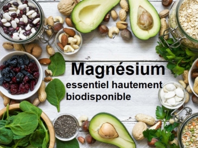 Pourquoi avons-nous un besoin essentiels en magnésium biodisponible ?