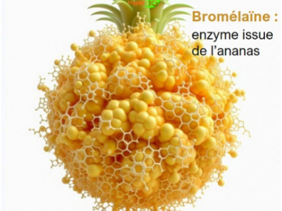 Bromélaïne : super enzyme digestive et anti inflammatoire articulaire et plus