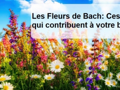 Les Fleurs de Bach: Les élixirs de Bach contribuent à notre bien-être.