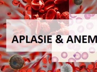 APLASIE : Comment faire remonter les taux de globules blancs et de plaquettes ?